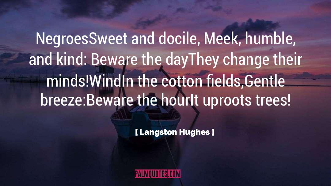 Cotton Candy quotes by Langston Hughes