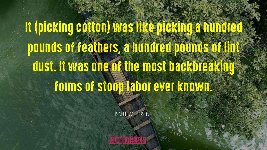 Cotton Picking Blessing quotes by Isabel Wilkerson
