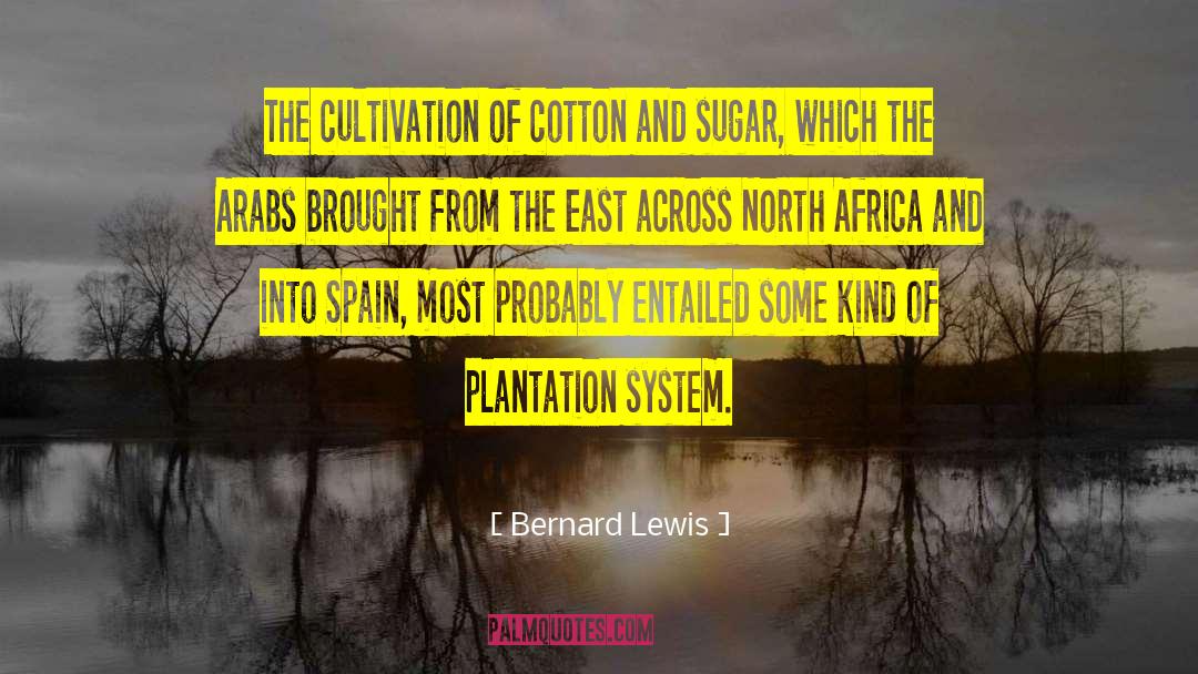 Cotton Wool quotes by Bernard Lewis