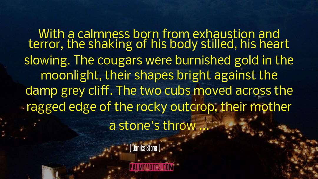 Cougars quotes by Danika Stone