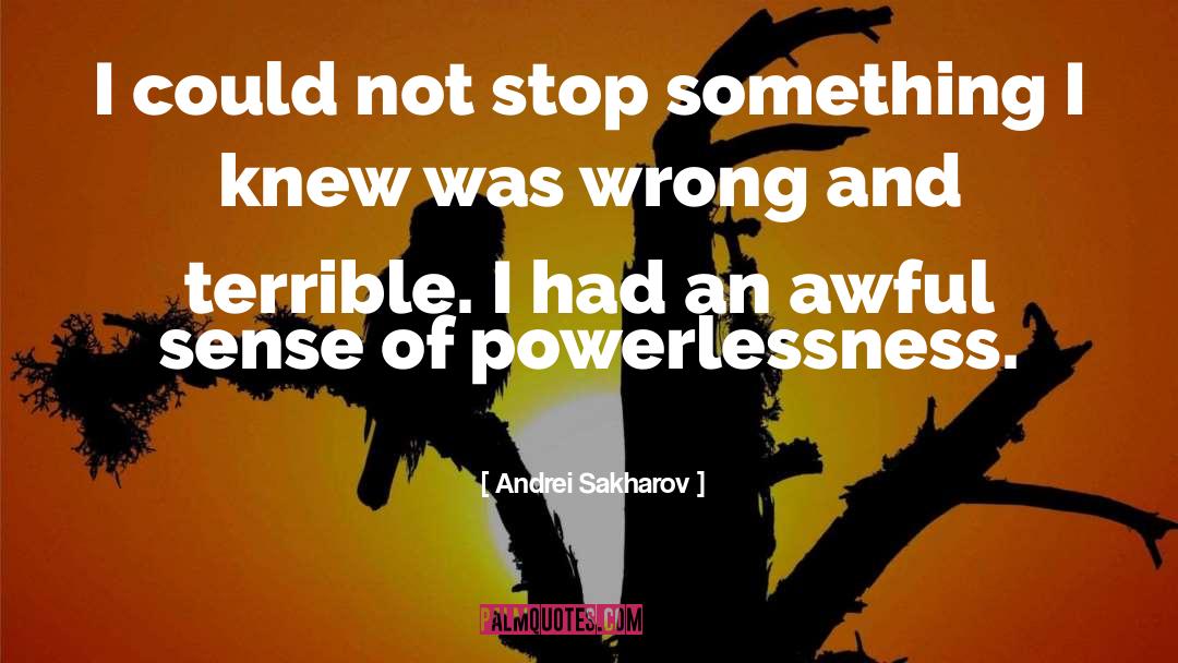 Could Not Stop quotes by Andrei Sakharov