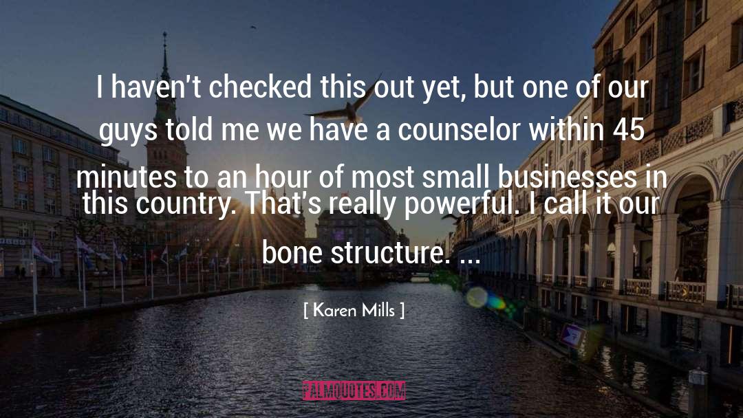 Counselor quotes by Karen Mills