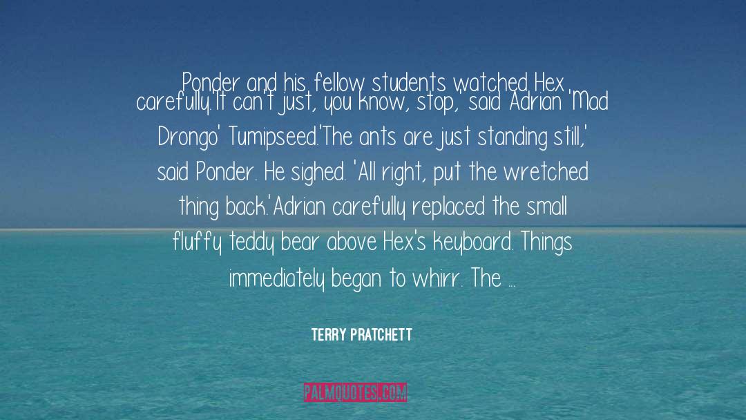 Countenances In A Sentence quotes by Terry Pratchett