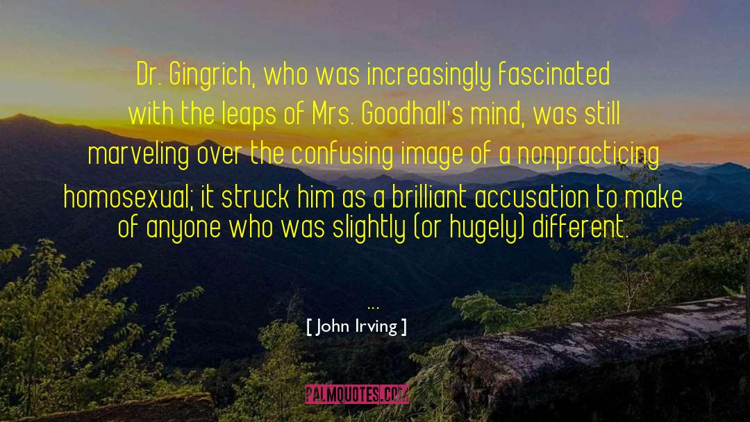 Counter Accusation quotes by John Irving