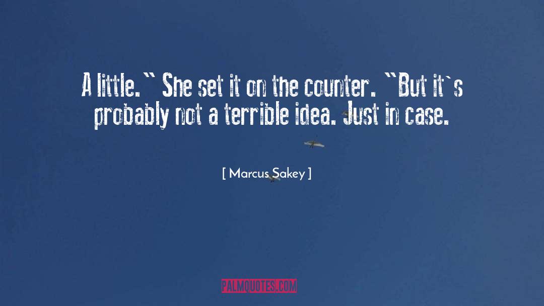 Counter quotes by Marcus Sakey