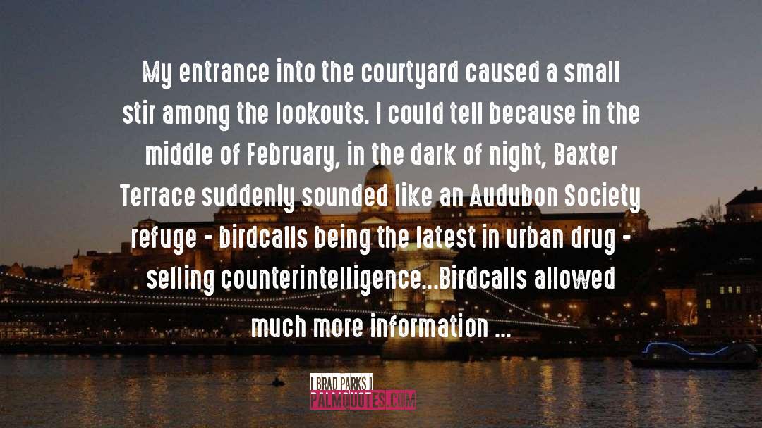 Counterintelligence quotes by Brad Parks