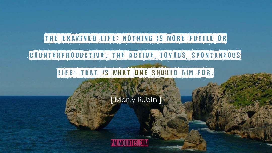 Counterproductive quotes by Marty Rubin