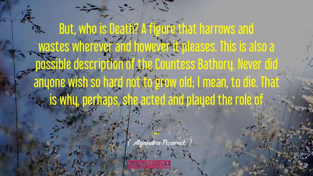 Countess Marburg quotes by Alejandra Pizarnik