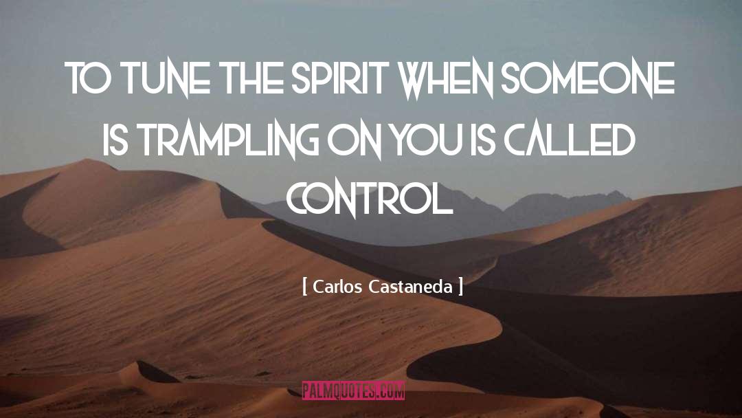 Counting On You quotes by Carlos Castaneda