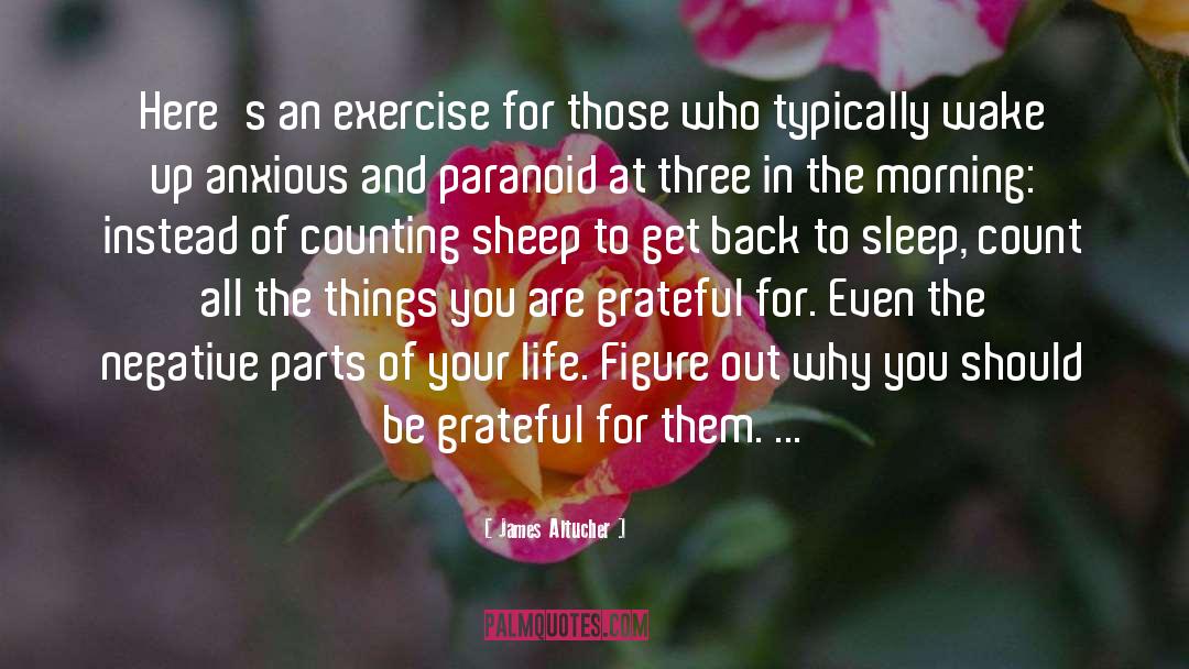 Counting Sheep quotes by James Altucher