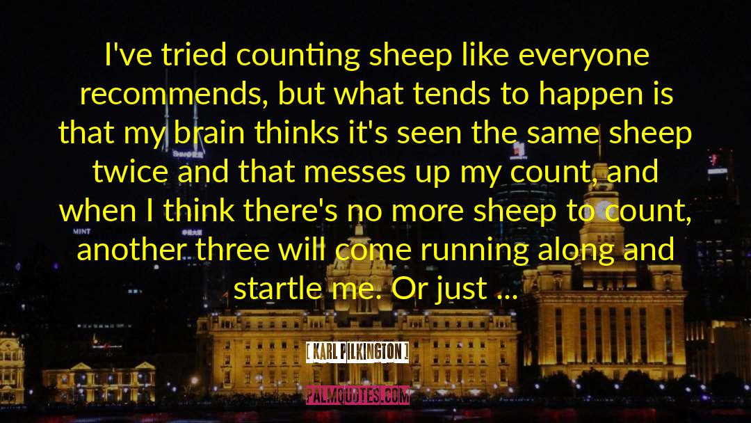 Counting Sheep quotes by Karl Pilkington