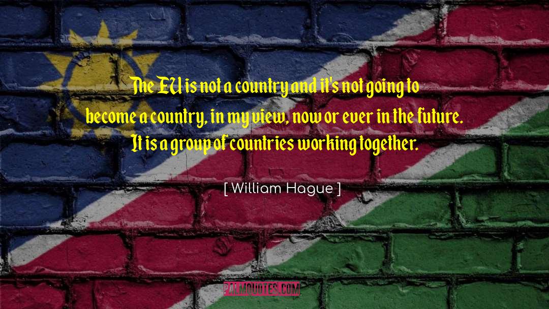 Countries Working Together quotes by William Hague