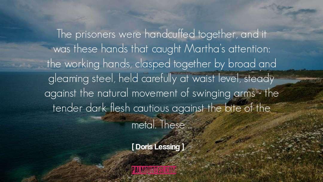 Countries Working Together quotes by Doris Lessing