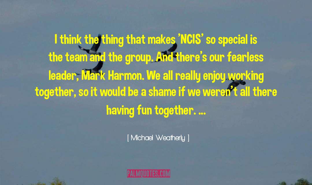 Countries Working Together quotes by Michael Weatherly