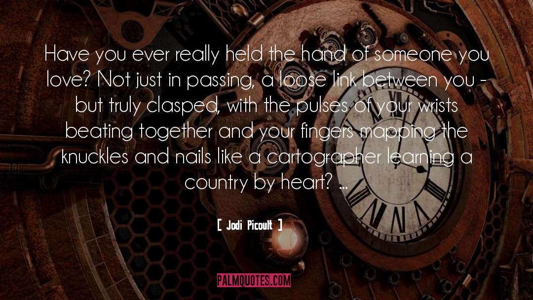 Country Artist quotes by Jodi Picoult