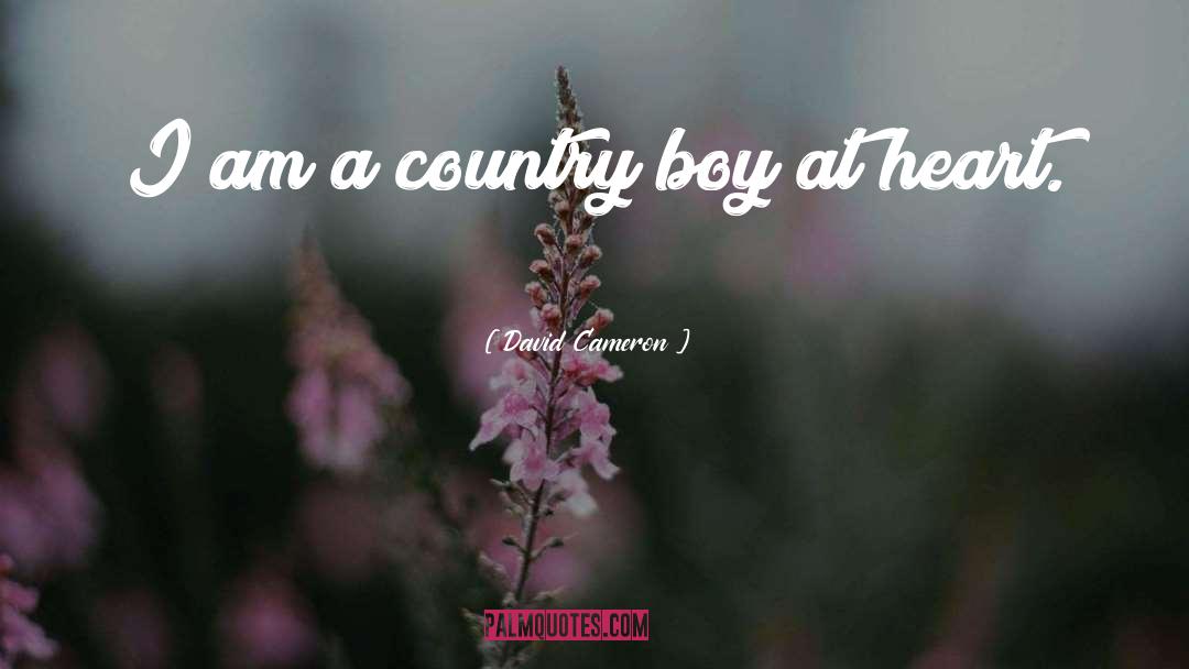 Country Boy quotes by David Cameron