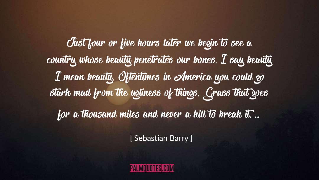 Country From Asia quotes by Sebastian Barry