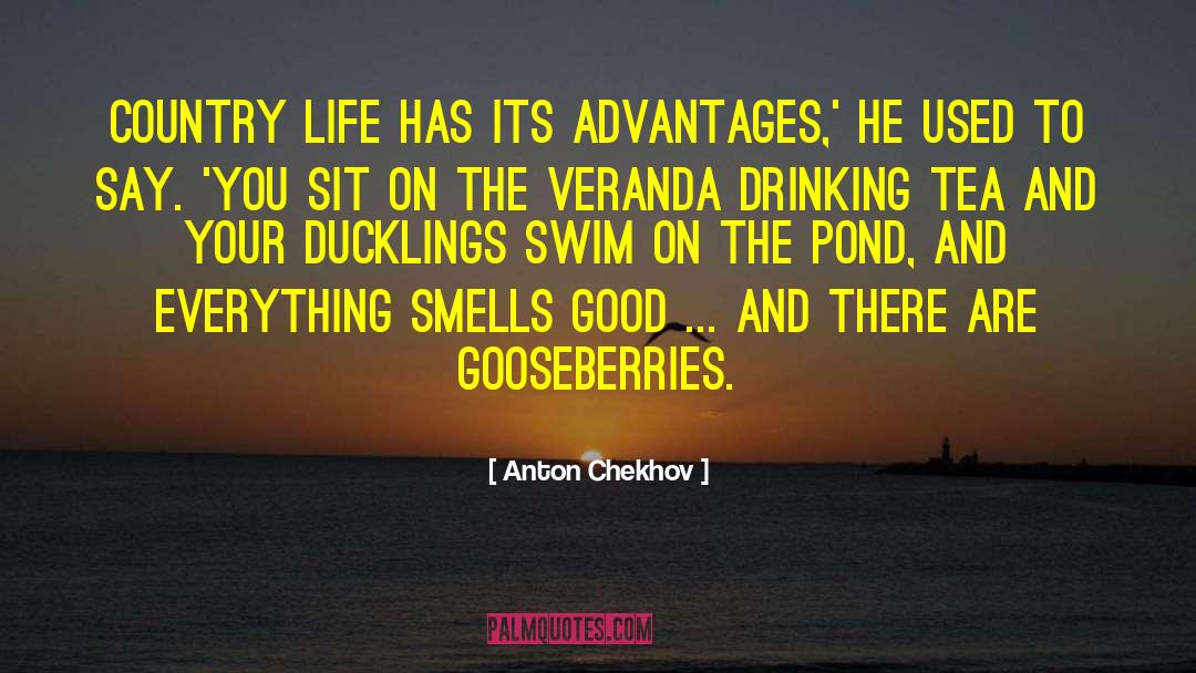 Country Life quotes by Anton Chekhov