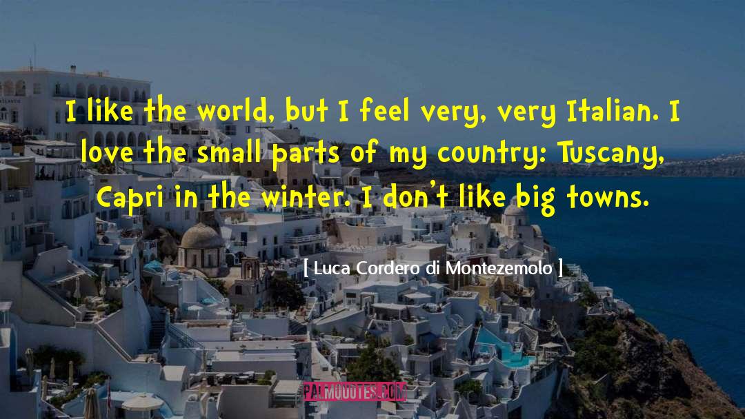 Country Love Song quotes by Luca Cordero Di Montezemolo