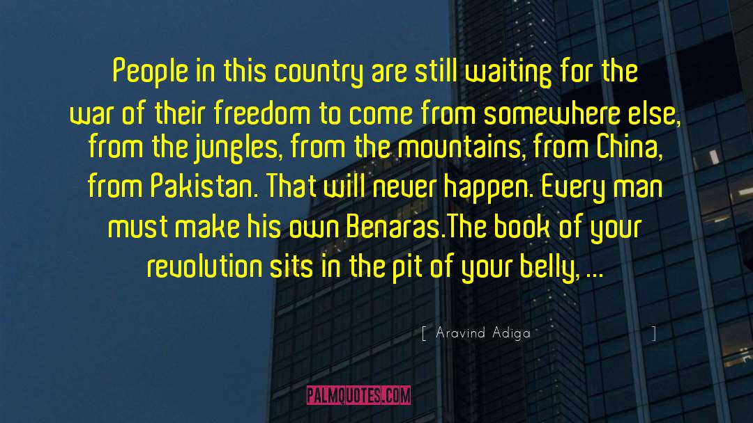 Country Noir quotes by Aravind Adiga