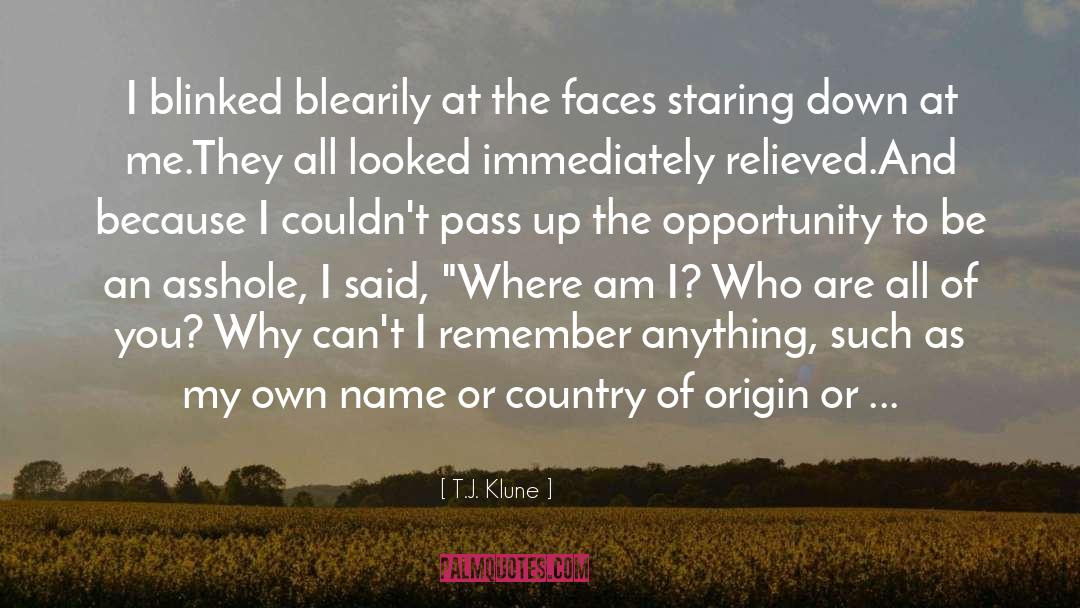 Country Of Origin quotes by T.J. Klune