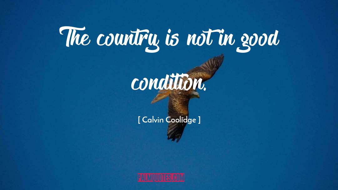 Country Singer quotes by Calvin Coolidge