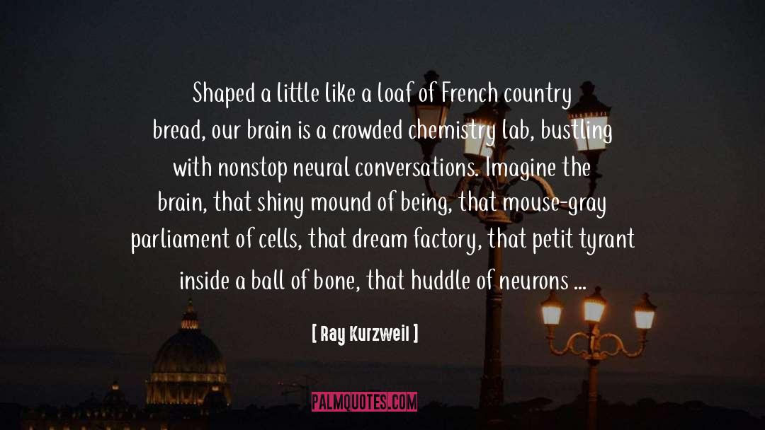 Country Thang quotes by Ray Kurzweil