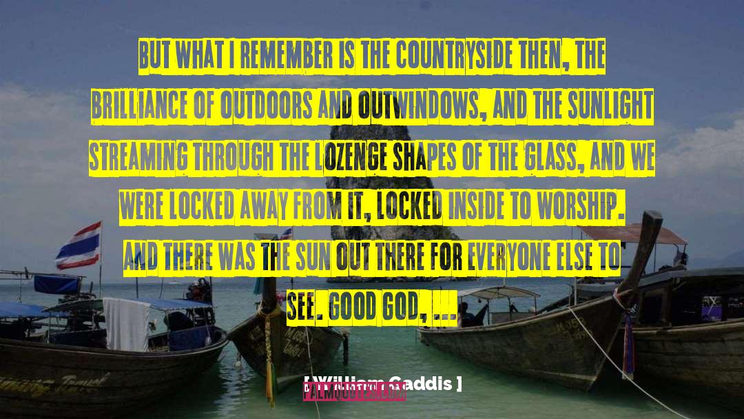 Countryside quotes by William Gaddis