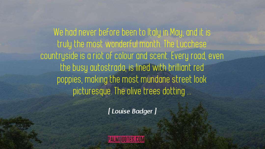 Countryside quotes by Louise Badger