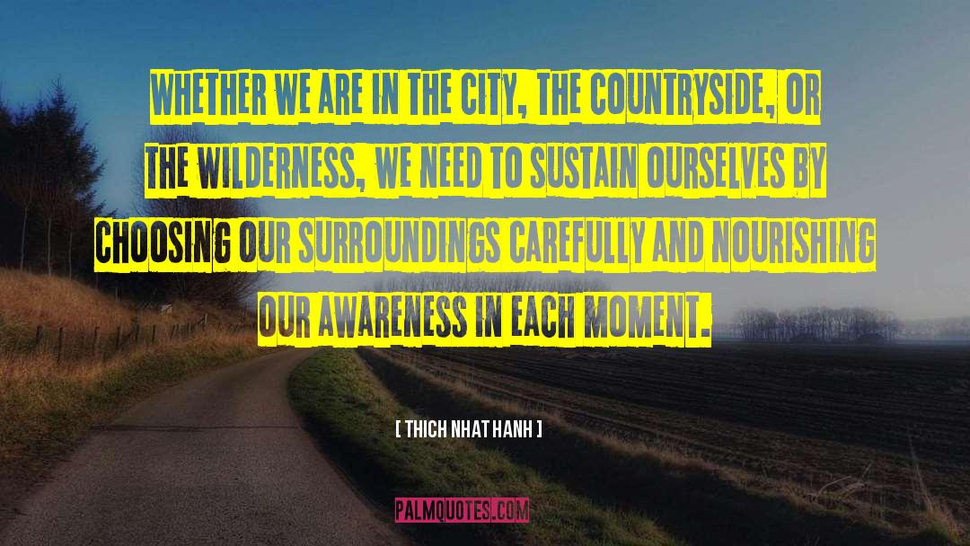 Countryside quotes by Thich Nhat Hanh