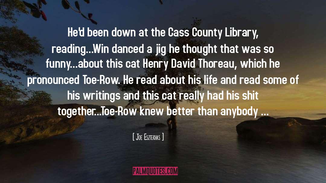 County Down quotes by Joe Eszterhas