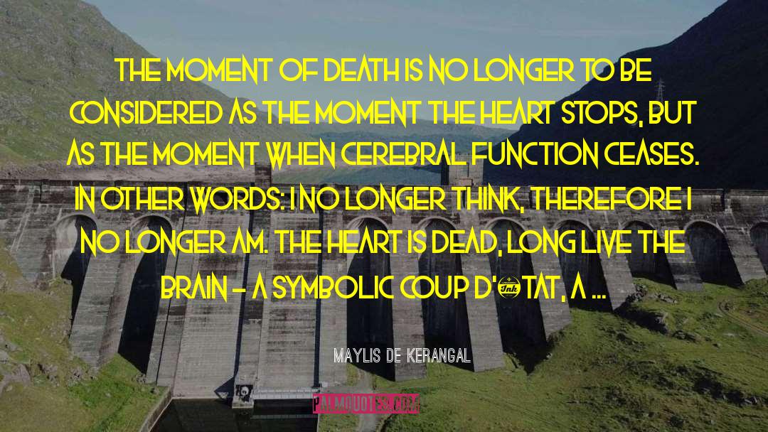 Coup quotes by Maylis De Kerangal