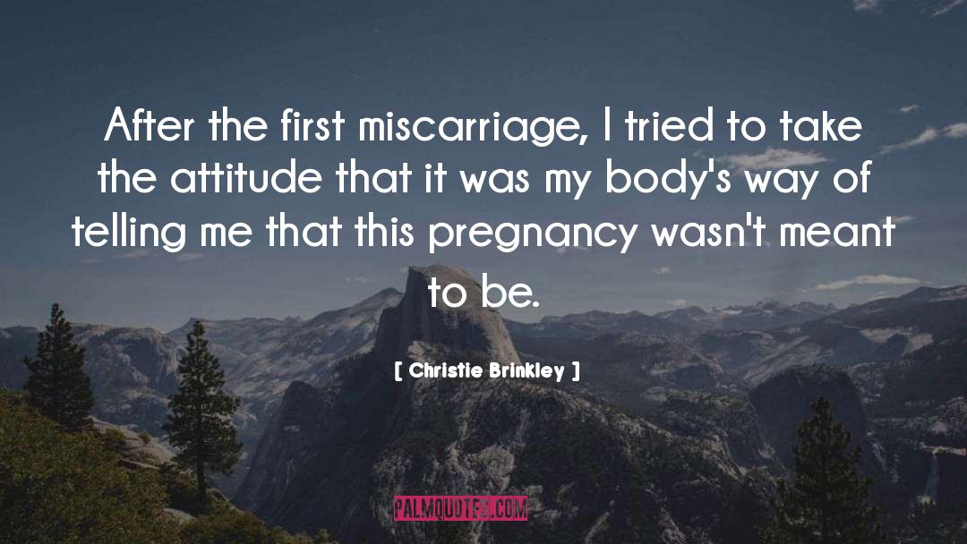 Couple Pregnancy Photoshoot quotes by Christie Brinkley