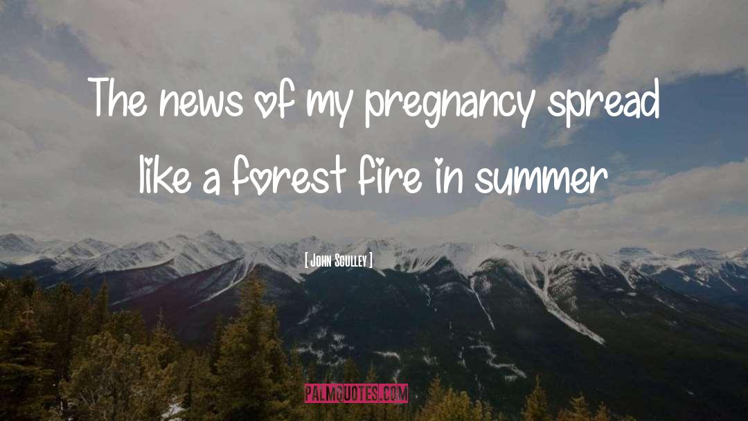 Couple Pregnancy Photoshoot quotes by John Sculley