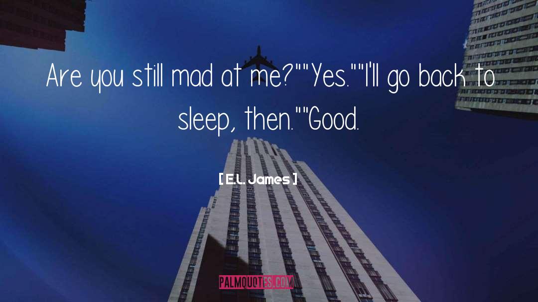 Couples Fights quotes by E.L. James