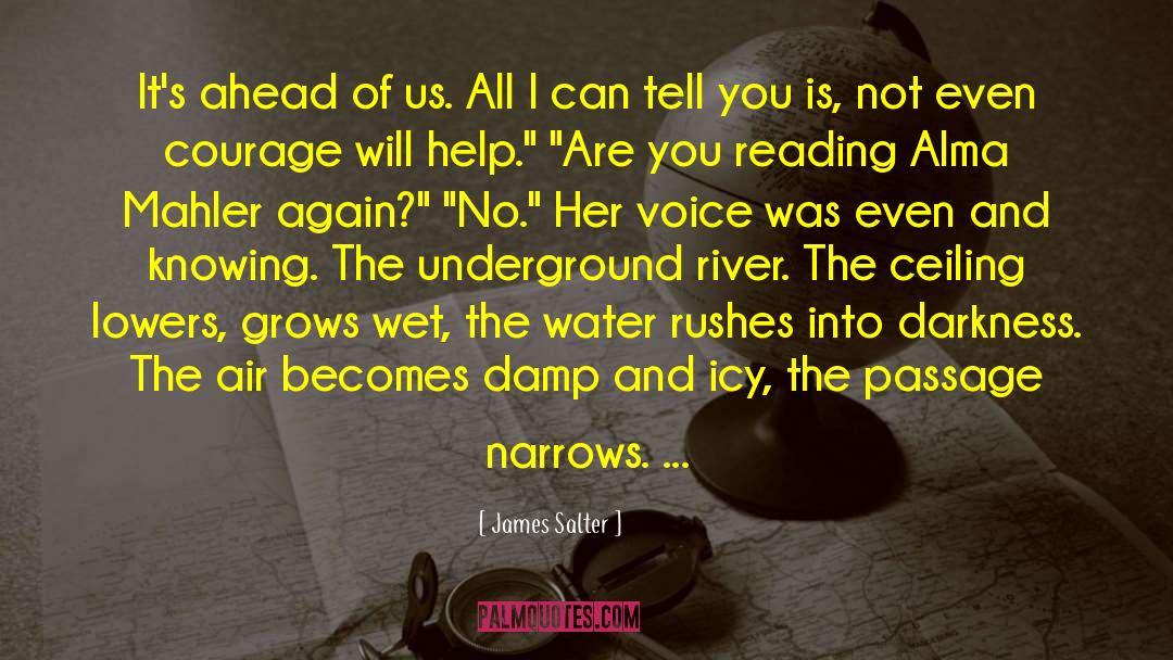 Courage And Leadership quotes by James Salter