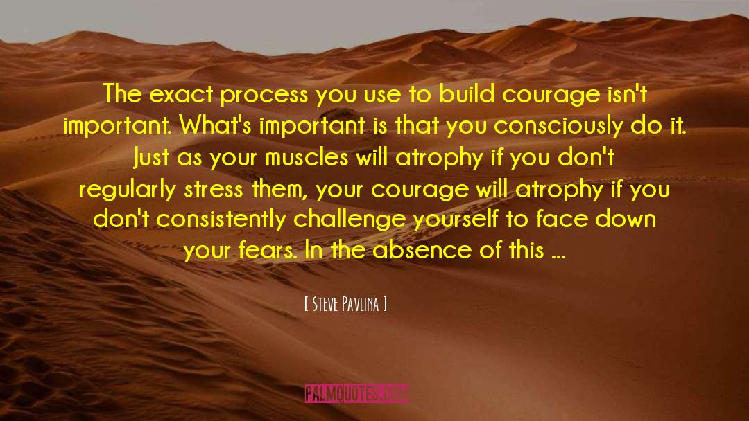 Courage Fear Inspirational quotes by Steve Pavlina