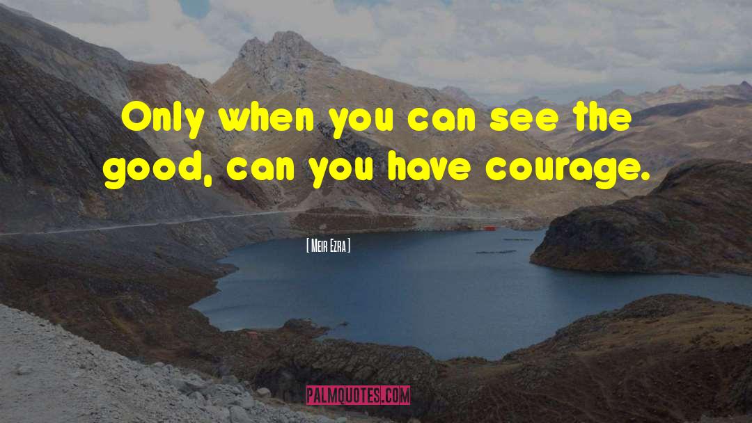 Courage In Life quotes by Meir Ezra