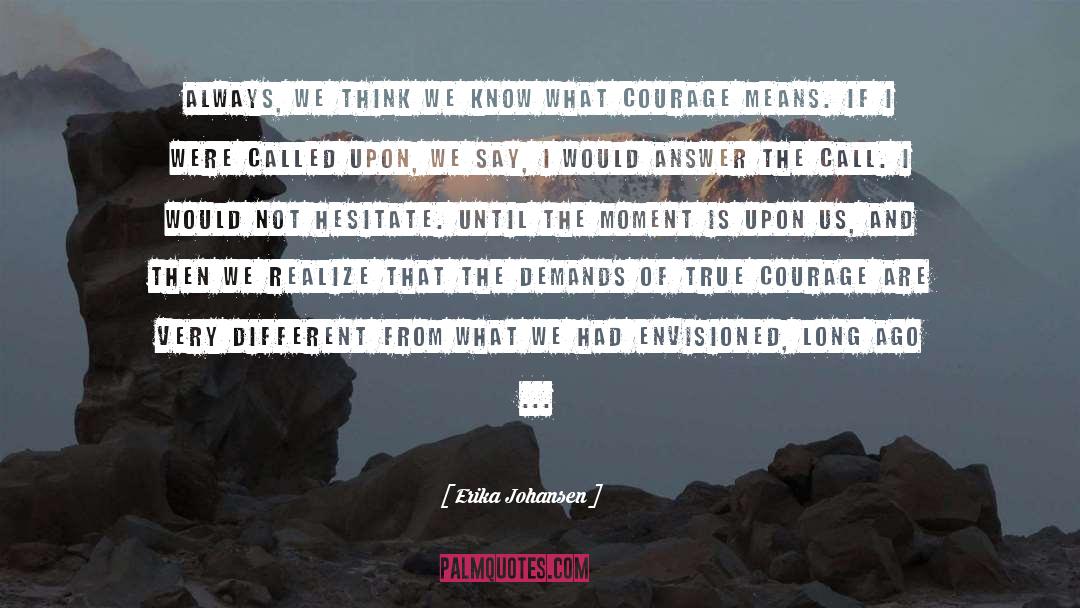 Courage quotes by Erika Johansen