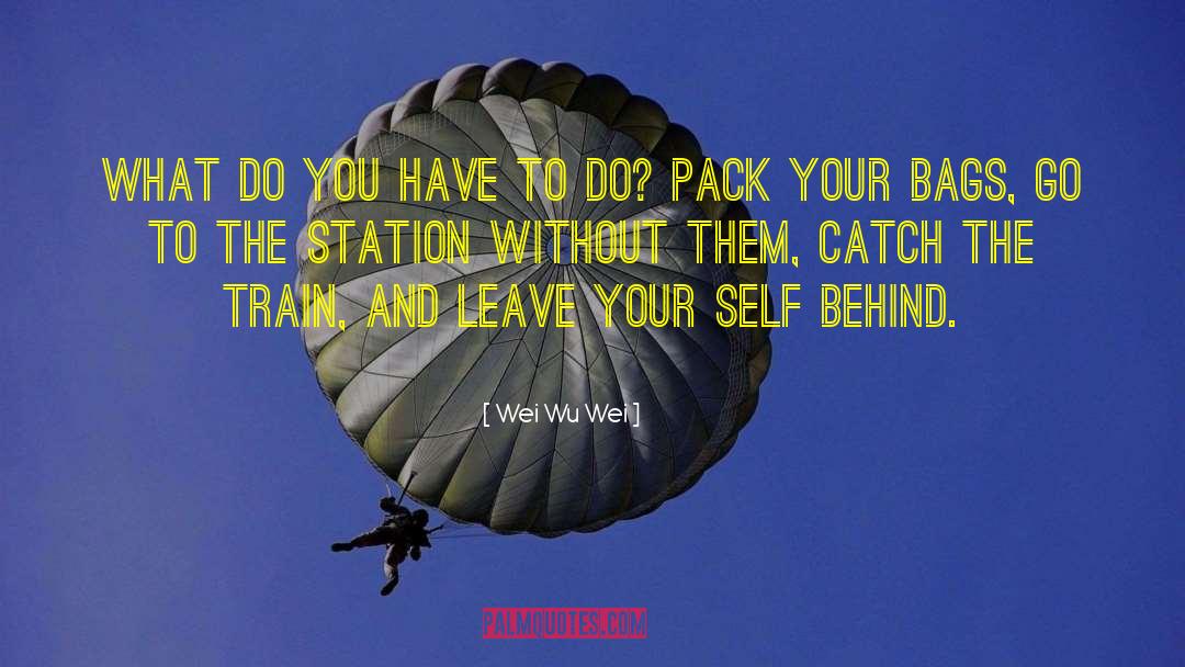 Courage To Leave quotes by Wei Wu Wei
