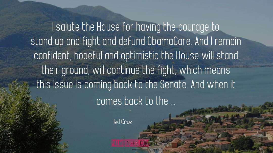 Courage To Stand Up quotes by Ted Cruz