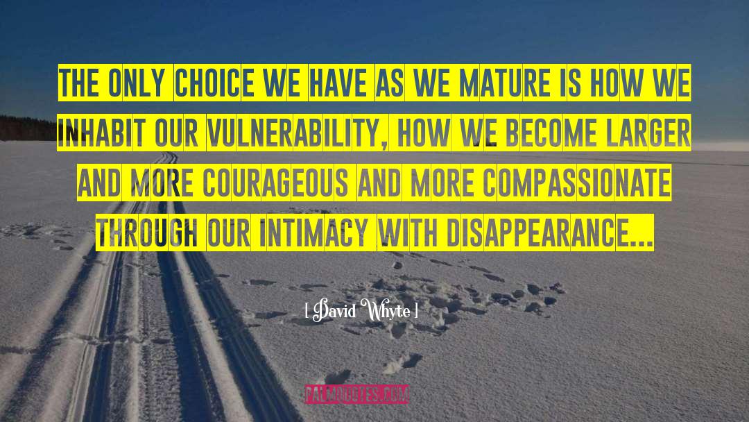 Courageous Survivor quotes by David Whyte