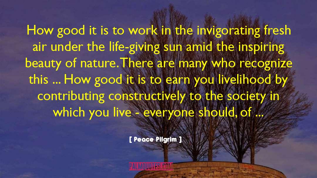 Course And Scope quotes by Peace Pilgrim