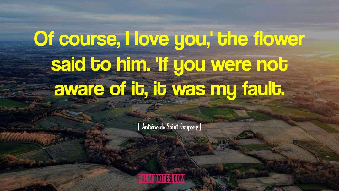 Course I Love You quotes by Antoine De Saint Exupery