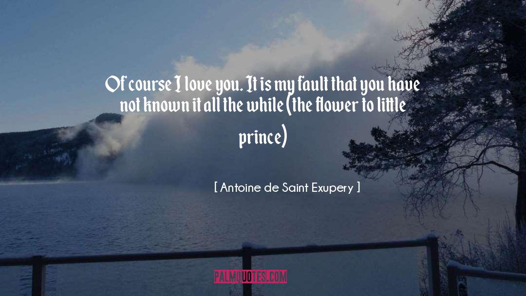 Course I Love You quotes by Antoine De Saint Exupery