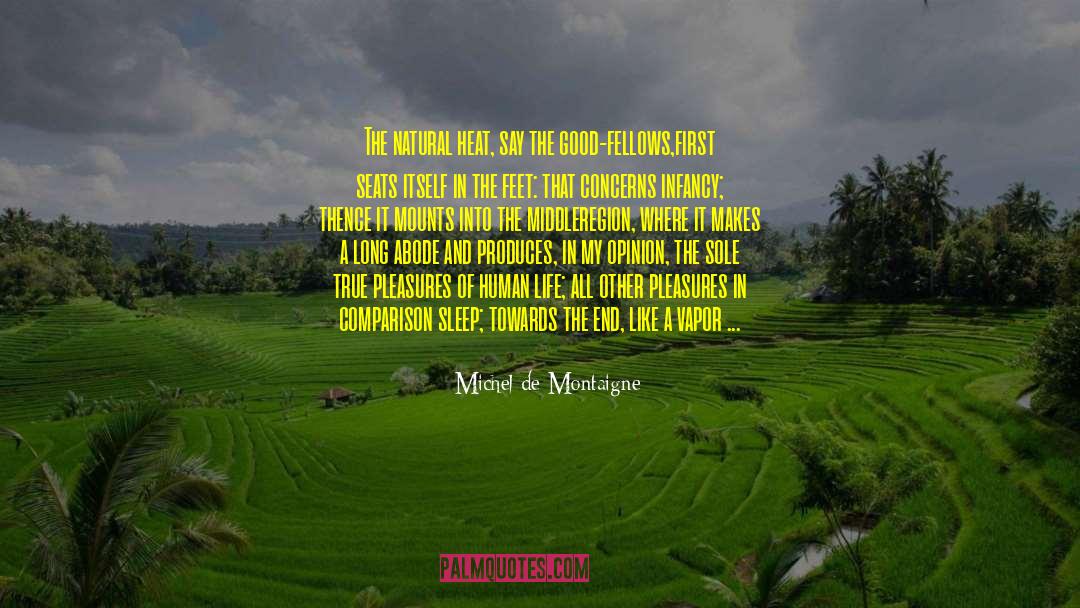 Course Of Life quotes by Michel De Montaigne