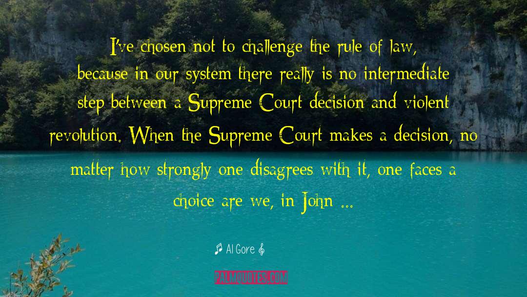 Court Decision quotes by Al Gore