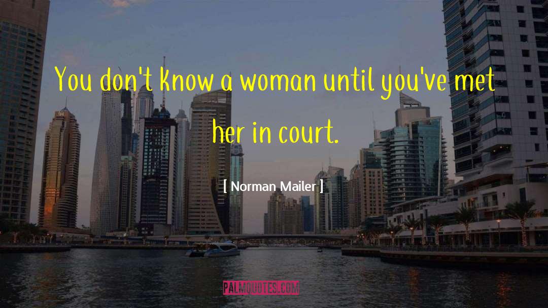 Court Judges quotes by Norman Mailer