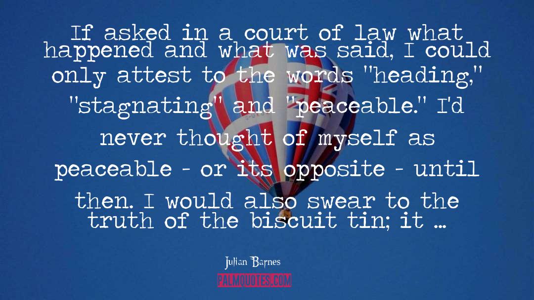 Court Of Law quotes by Julian Barnes