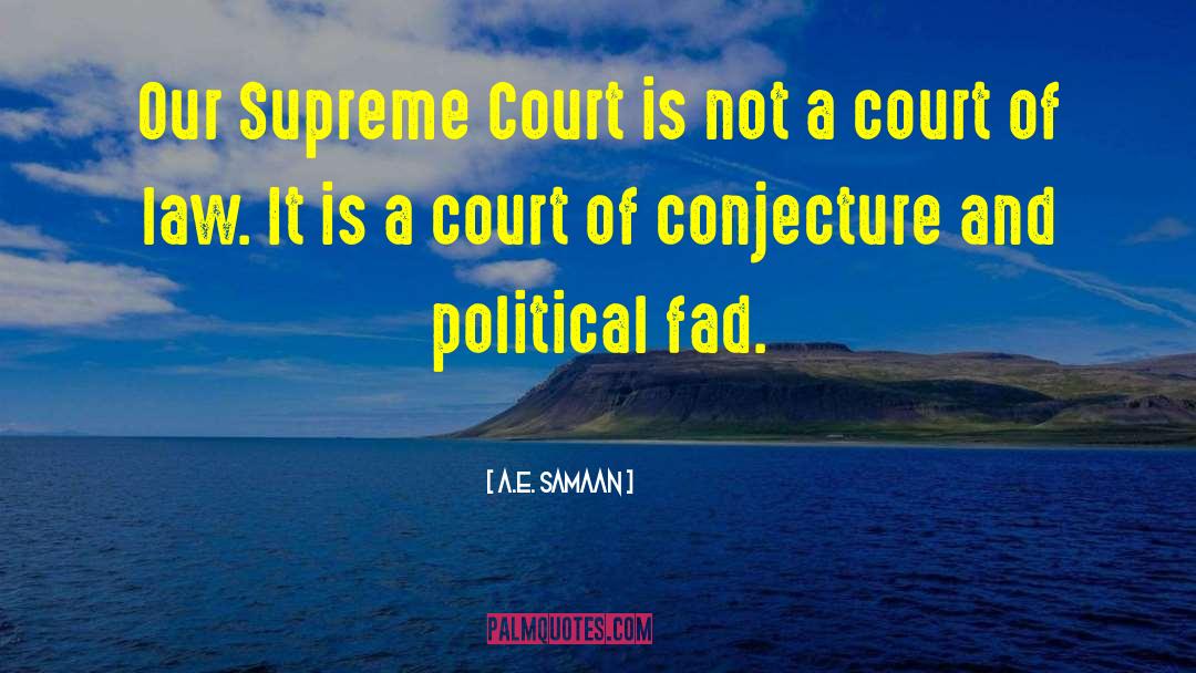 Court Of Law quotes by A.E. Samaan